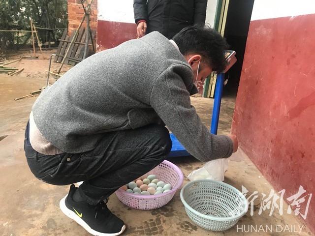 土鸡最新收购信息全流程步骤指南及最新收购动态解析