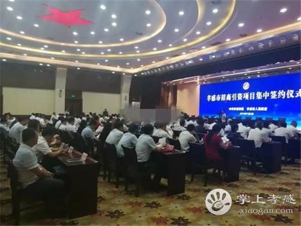 孝感最新政令与巷弄深处的美食宝藏同步揭晓