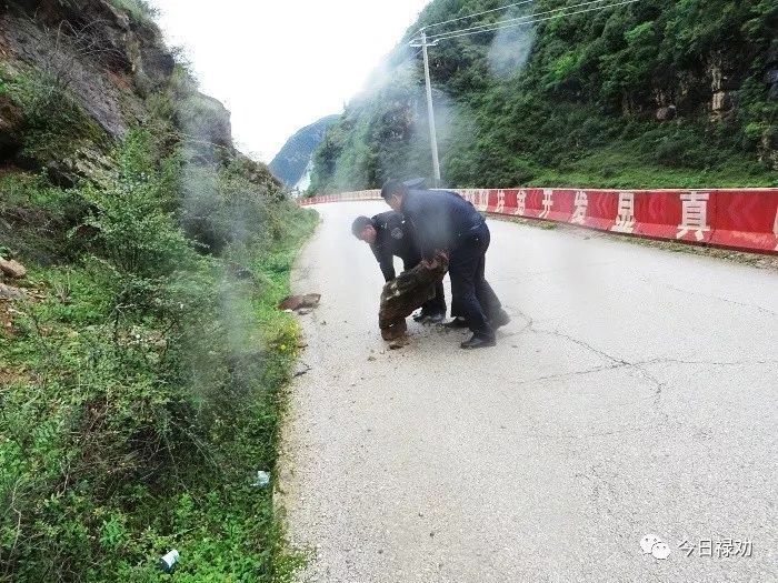 禄劝站街女信息探讨与揭秘